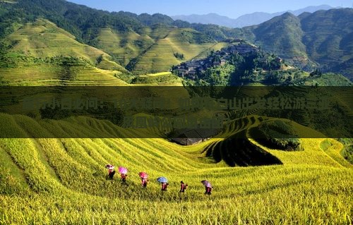 旅行小白必问：10大疑问！如何在白山出发轻松游三亚凤凰岭公园自由团？