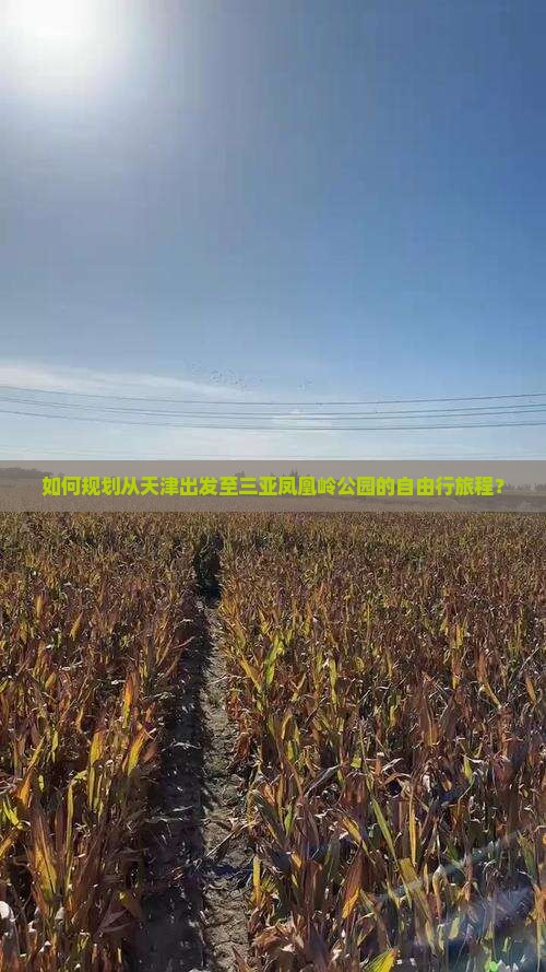 如何规划从天津出发至三亚凤凰岭公园的自由行旅程？