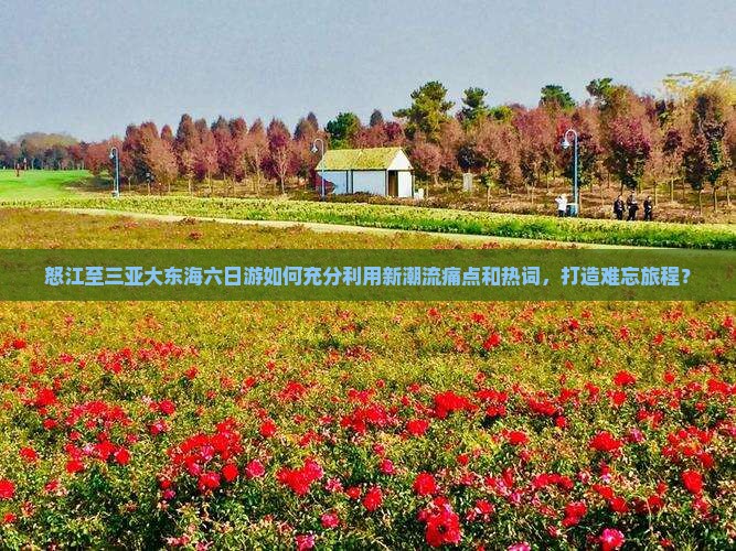 怒江至三亚大东海六日游如何充分利用新潮流痛点和热词，打造难忘旅程？