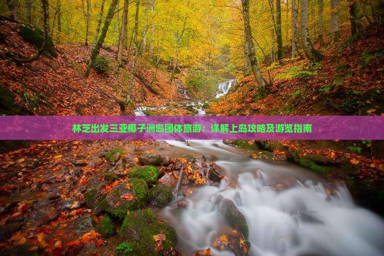 林芝出发三亚椰子洲岛团体旅游：详解上岛攻略及游览指南