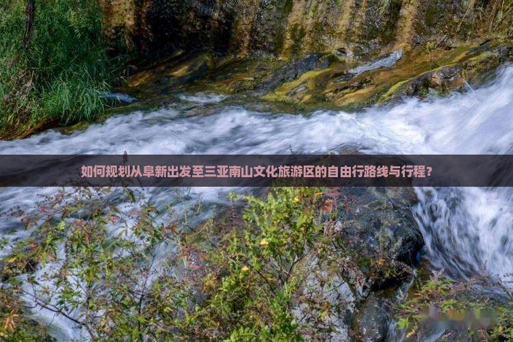 如何规划从阜新出发至三亚南山文化旅游区的自由行路线与行程？
