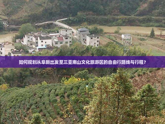 如何规划从阜新出发至三亚南山文化旅游区的自由行路线与行程？
