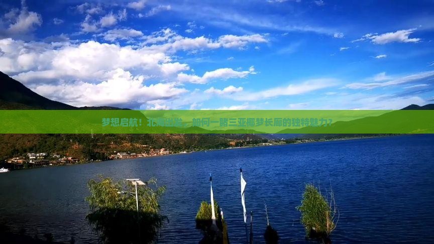 梦想启航！北海出发，如何一睹三亚椰梦长廊的独特魅力？