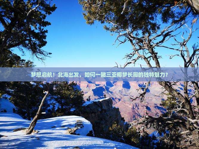 梦想启航！北海出发，如何一睹三亚椰梦长廊的独特魅力？