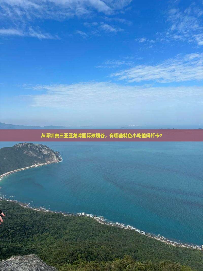 从深圳去三亚亚龙湾国际玫瑰谷，有哪些特色小吃值得打卡？