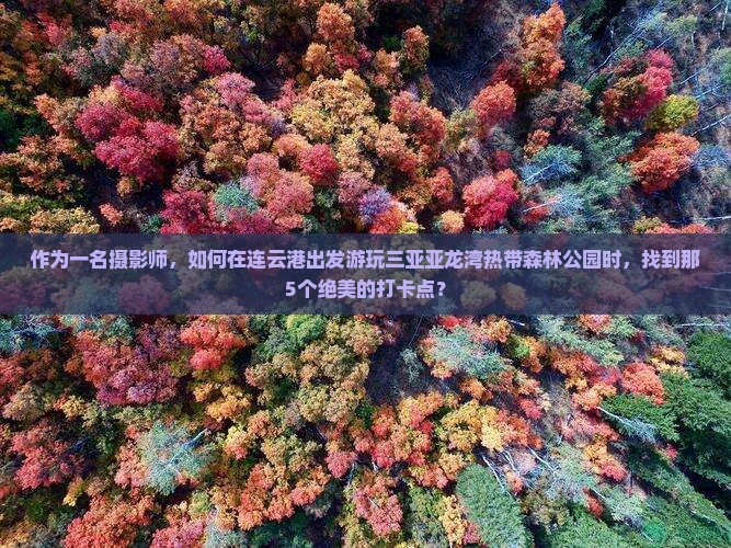 作为一名摄影师，如何在连云港出发游玩三亚亚龙湾热带森林公园时，找到那5个绝美的打卡点？