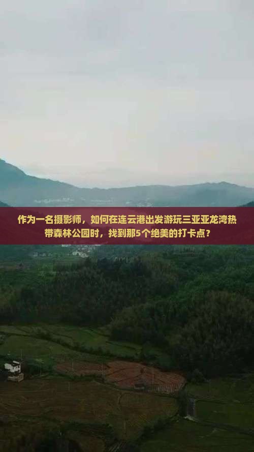 作为一名摄影师，如何在连云港出发游玩三亚亚龙湾热带森林公园时，找到那5个绝美的打卡点？