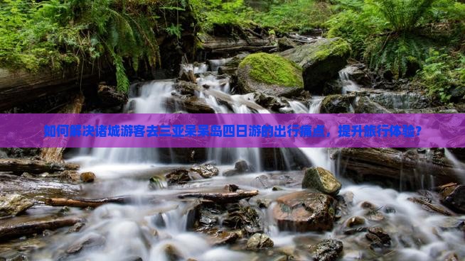 如何解决诸城游客去三亚呆呆岛四日游的出行痛点，提升旅行体验？