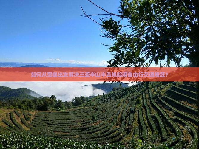 如何从楚雄出发解决三亚半山半岛帆船港自由行交通难题？