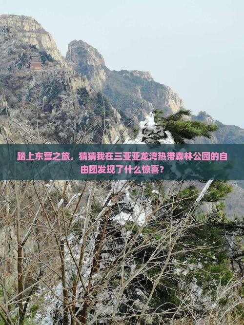 踏上东营之旅，猜猜我在三亚亚龙湾热带森林公园的自由团发现了什么惊喜？