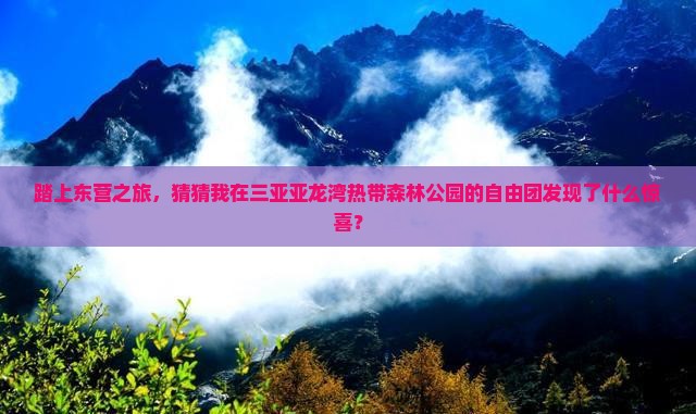 踏上东营之旅，猜猜我在三亚亚龙湾热带森林公园的自由团发现了什么惊喜？
