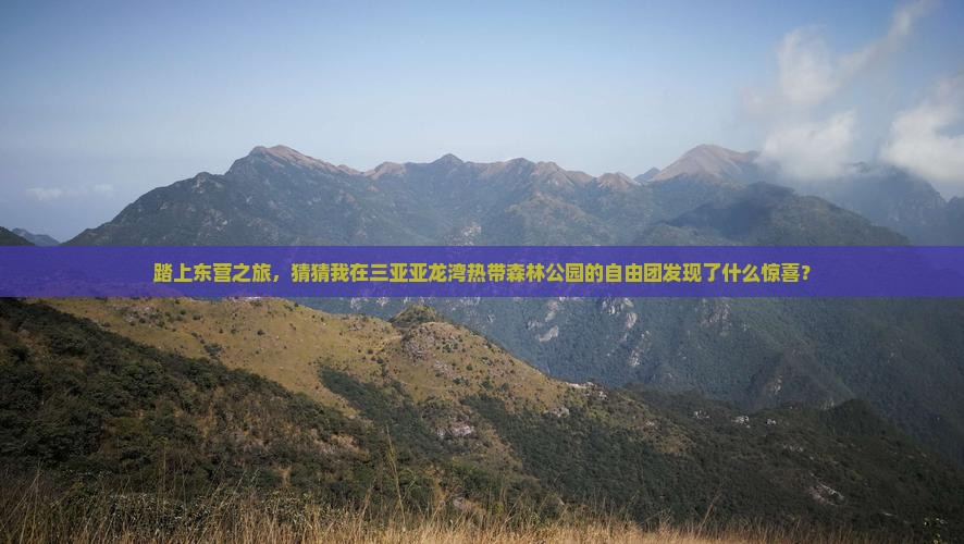 踏上东营之旅，猜猜我在三亚亚龙湾热带森林公园的自由团发现了什么惊喜？