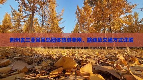 荆州去三亚呆呆岛团体旅游费用、路线及交通方式详解