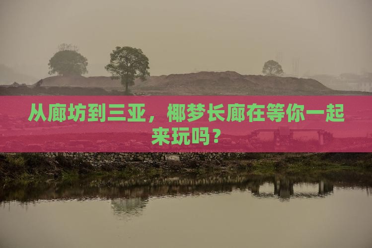 从廊坊到三亚，椰梦长廊在等你一起来玩吗？
