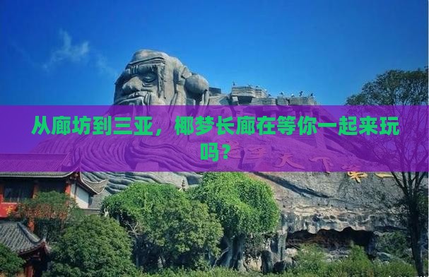 从廊坊到三亚，椰梦长廊在等你一起来玩吗？