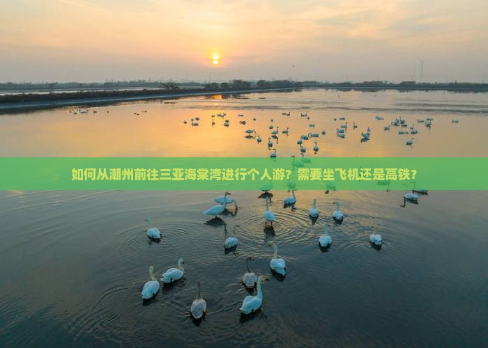 如何从潮州前往三亚海棠湾进行个人游？需要坐飞机还是高铁？