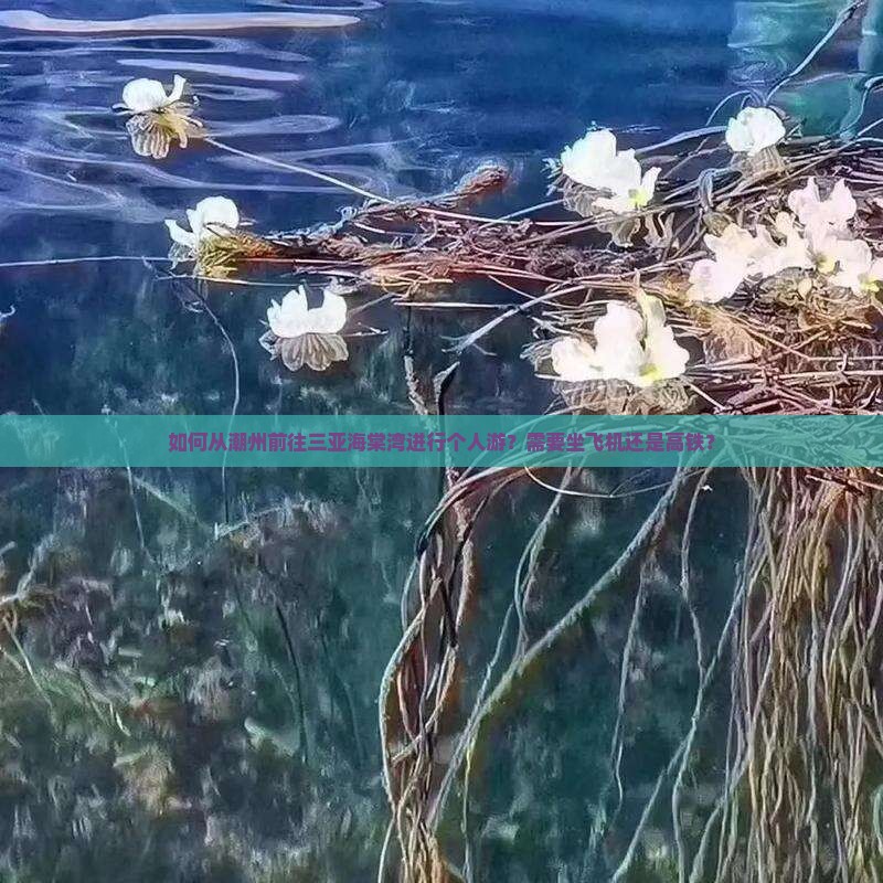 如何从潮州前往三亚海棠湾进行个人游？需要坐飞机还是高铁？