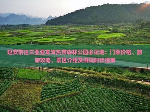 延安前往三亚亚龙湾热带森林公园必玩地：门票价格、旅游攻略、景区介绍及游玩时长指南