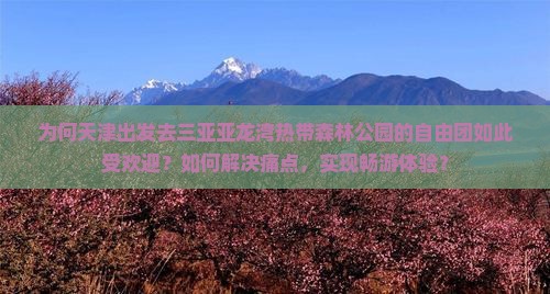 为何天津出发去三亚亚龙湾热带森林公园的自由团如此受欢迎？如何解决痛点，实现畅游体验？