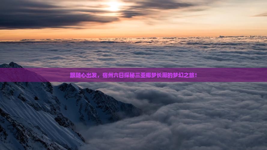 跟随心出发，宿州六日探秘三亚椰梦长廊的梦幻之旅！