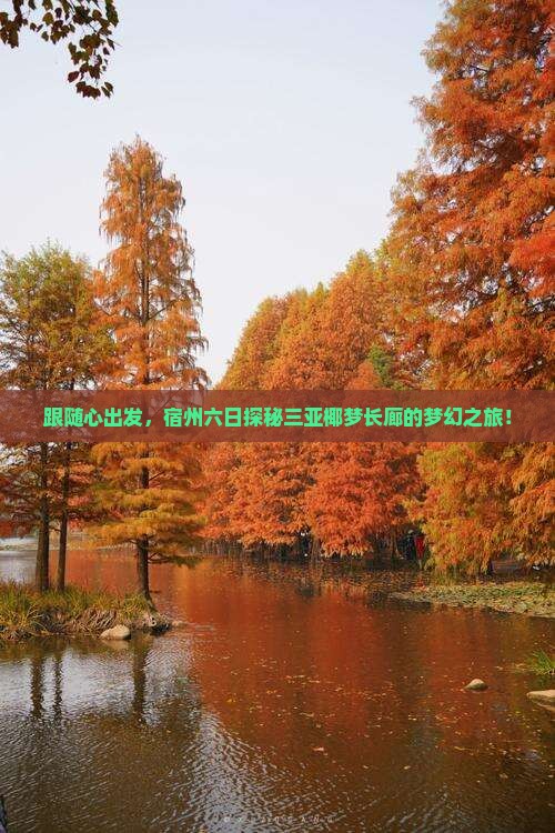 跟随心出发，宿州六日探秘三亚椰梦长廊的梦幻之旅！