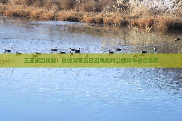 三亚旅游攻略：白城游客五日游凤凰岭公园精华景点推荐