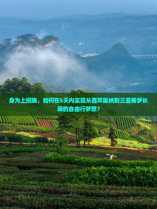 身为上班族，如何在5天内实现从西双版纳到三亚椰梦长廊的自由行梦想？