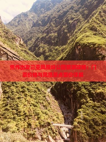 焦作出发三亚凤凰岭公园旅游攻略：门票价格与凤凰景点票价详解