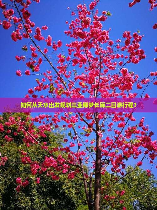 如何从天水出发规划三亚椰梦长廊二日游行程？
