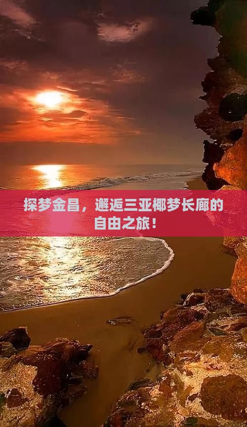 探梦金昌，邂逅三亚椰梦长廊的自由之旅！