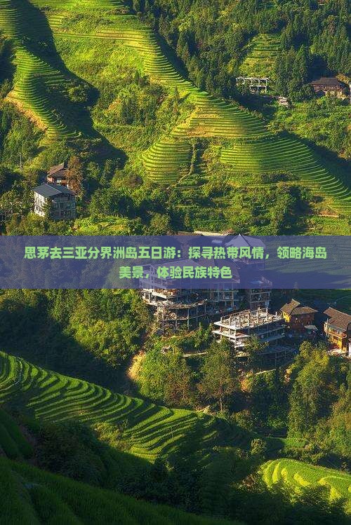 思茅去三亚分界洲岛五日游：探寻热带风情，领略海岛美景，体验民族特色