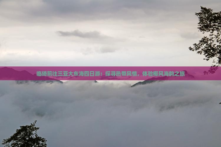 临猗前往三亚大东海四日游:探寻热带风情,体验椰风海韵之旅 临猗前往三亚大东海四日游:探寻热带风情,体验椰风海韵之旅