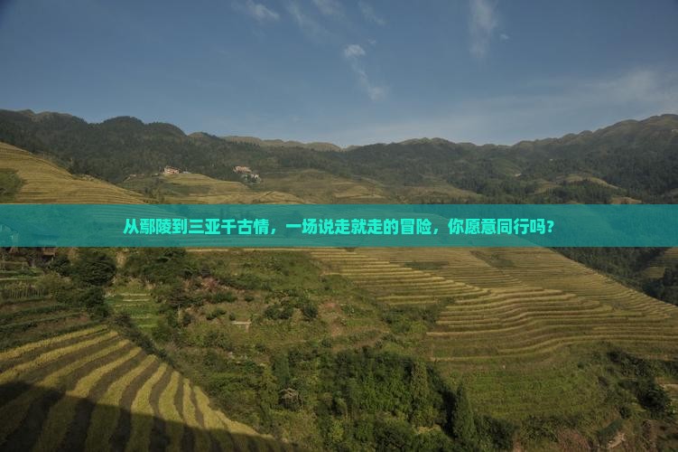 从鄢陵到三亚千古情,一场说走就走的冒险,你愿意同行吗? 从鄢陵到三亚千古情,一场说走就走的冒险,你愿意同行吗?