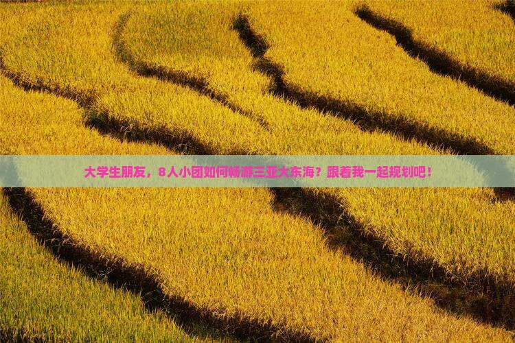 大学生朋友,8人小团如何畅游三亚大东海?跟着我一起规划吧! 大学生朋友,8人小团如何畅游三亚大东海?跟着我一起规划吧!