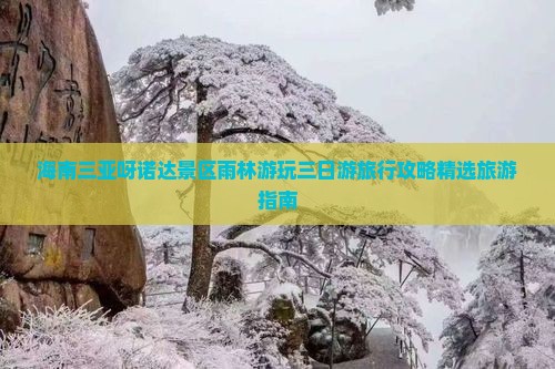 海南三亚呀诺达景区雨林游玩三日游旅行攻略精选旅游指南