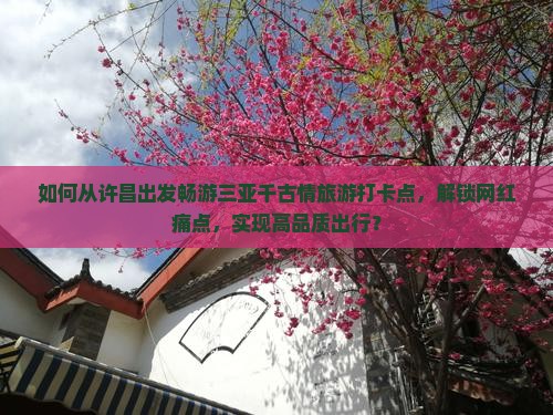 如何从许昌出发畅游三亚千古情旅游打卡点，解锁网红痛点，实现高品质出行？