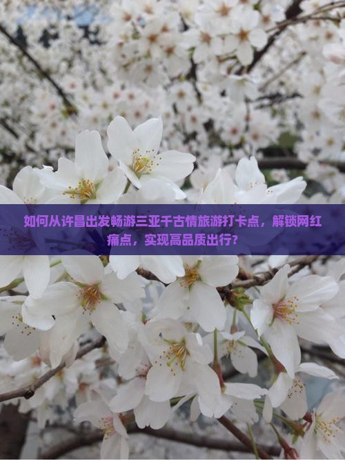 如何从许昌出发畅游三亚千古情旅游打卡点，解锁网红痛点，实现高品质出行？