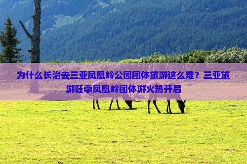 为什么长治去三亚凤凰岭公园团体旅游这么难？三亚旅游旺季凤凰岭团体游火热开启