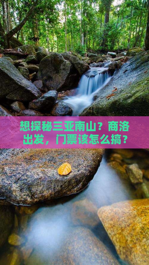想探秘三亚南山？商洛出发，门票该怎么搞？