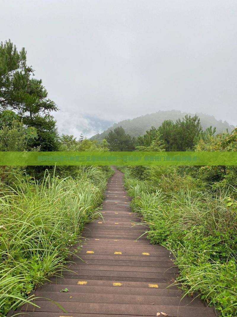 如何实现库尔勒至三亚崖洲古城的一日畅游？解密热门景点旅游痛点！