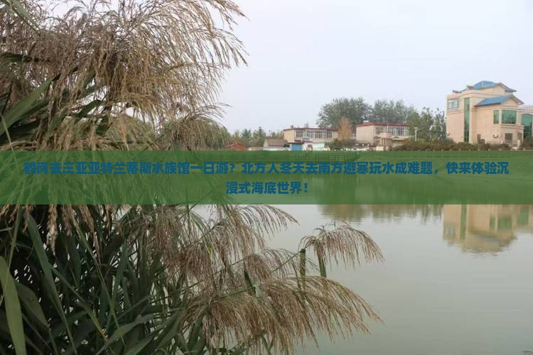 鹤岗去三亚亚特兰蒂斯水族馆一日游？北方人冬天去南方避寒玩水成难题，快来体验沉浸式海底世界！