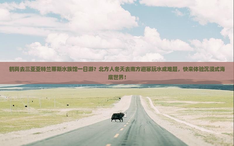 鹤岗去三亚亚特兰蒂斯水族馆一日游？北方人冬天去南方避寒玩水成难题，快来体验沉浸式海底世界！