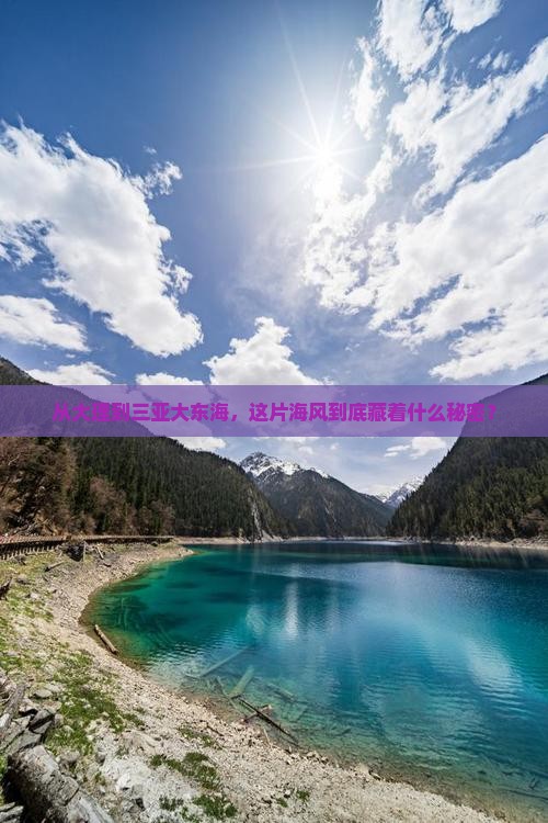 从大理到三亚大东海，这片海风到底藏着什么秘密？