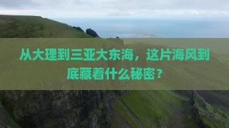 从大理到三亚大东海，这片海风到底藏着什么秘密？