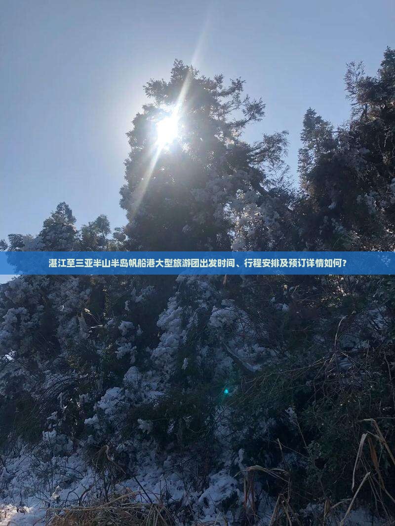 湛江至三亚半山半岛帆船港大型旅游团出发时间、行程安排及预订详情如何？