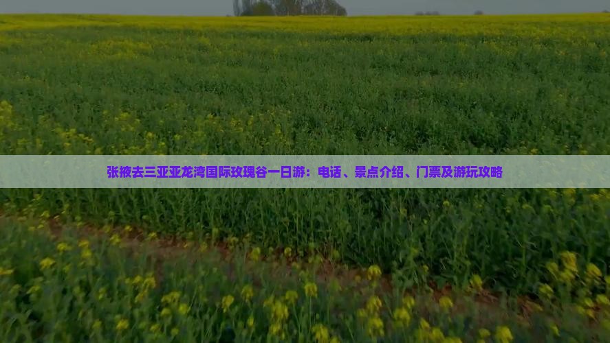 张掖去三亚亚龙湾国际玫瑰谷一日游：电话、景点介绍、门票及游玩攻略