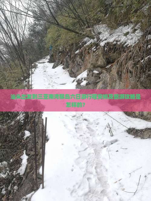 汕头出发到三亚南湾猴岛六日游行程安排及旅游攻略是怎样的？