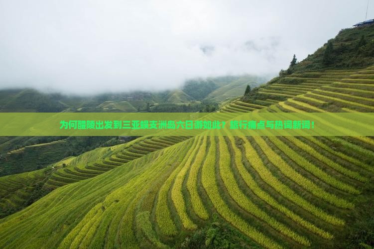 为何醴陵出发到三亚蜈支洲岛六日游如此？旅行痛点与热词新词！