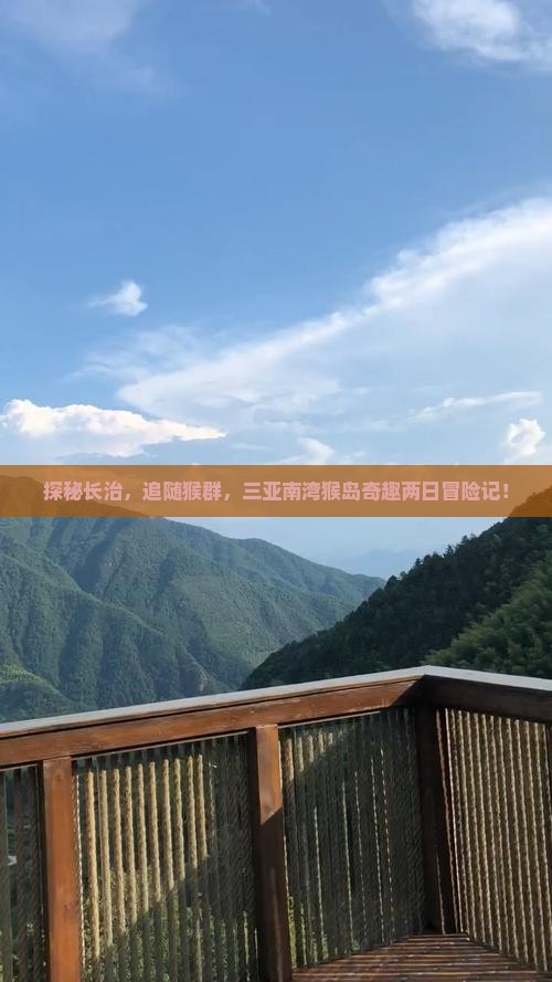 探秘长治，追随猴群，三亚南湾猴岛奇趣两日冒险记！