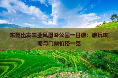 东莞出发三亚凤凰岭公园一日游：游玩攻略与门票价格一览